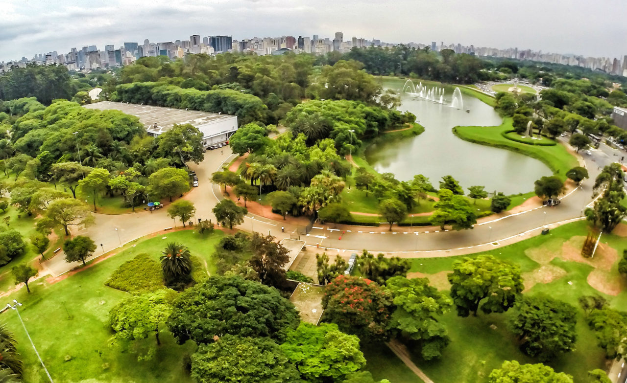 All come together at Ibirapuera Park